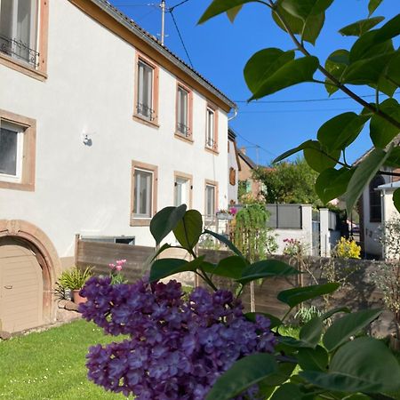 Gite Le 1602 Saint-Nabor Exteriör bild