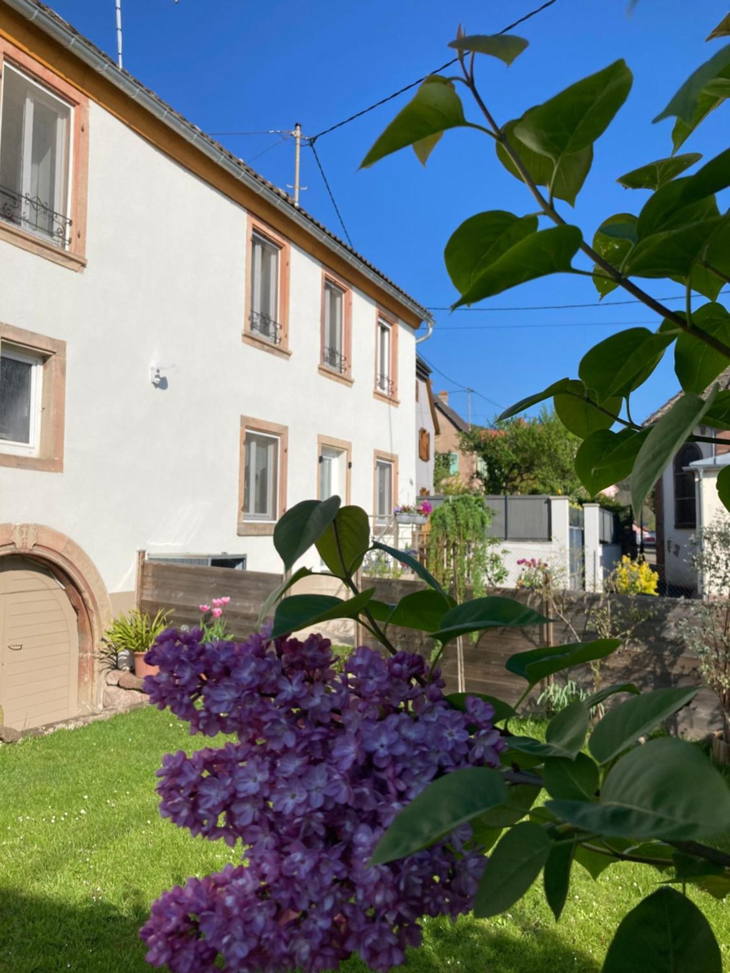 Gite Le 1602 Saint-Nabor Exteriör bild