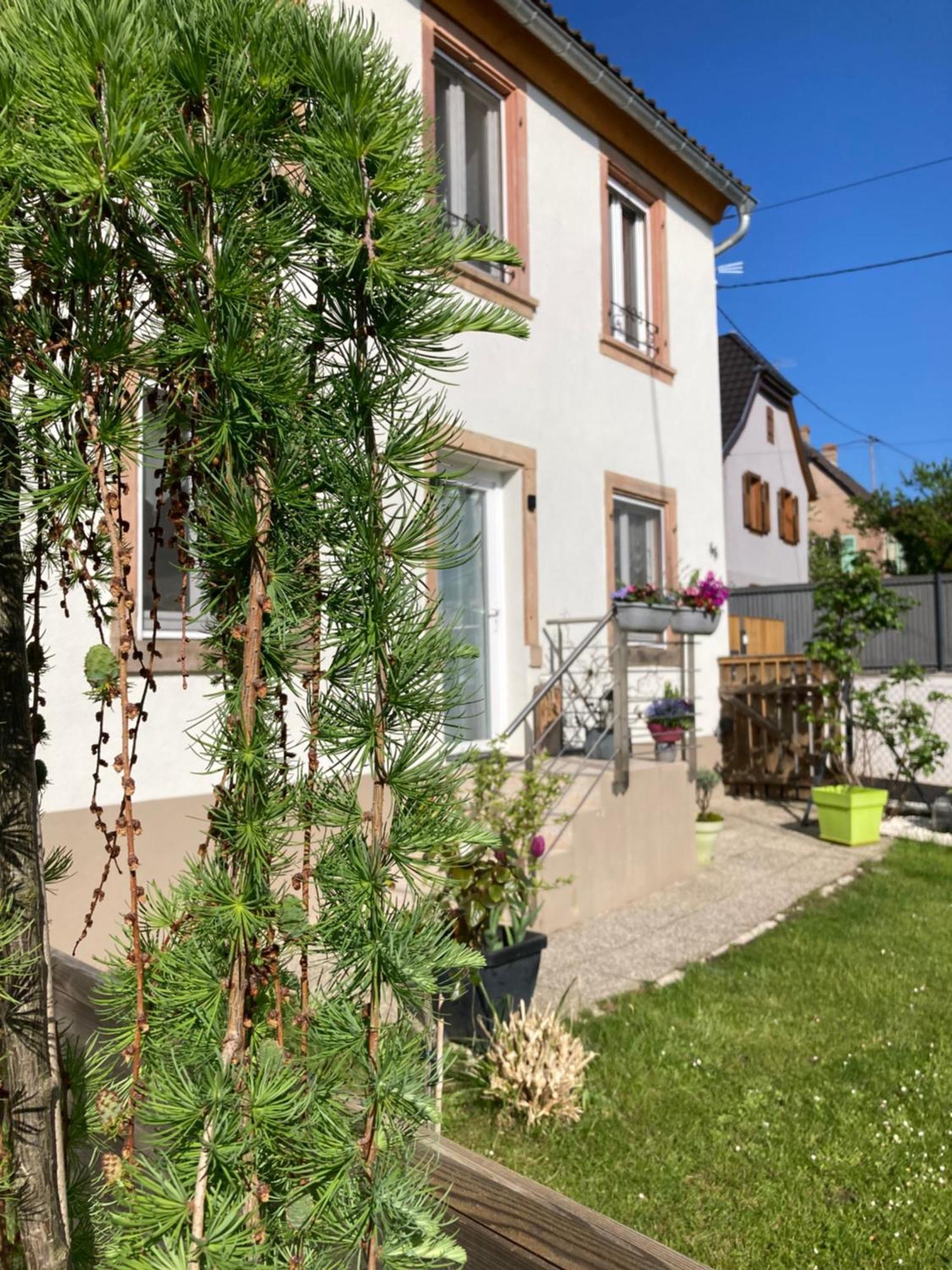 Gite Le 1602 Saint-Nabor Exteriör bild